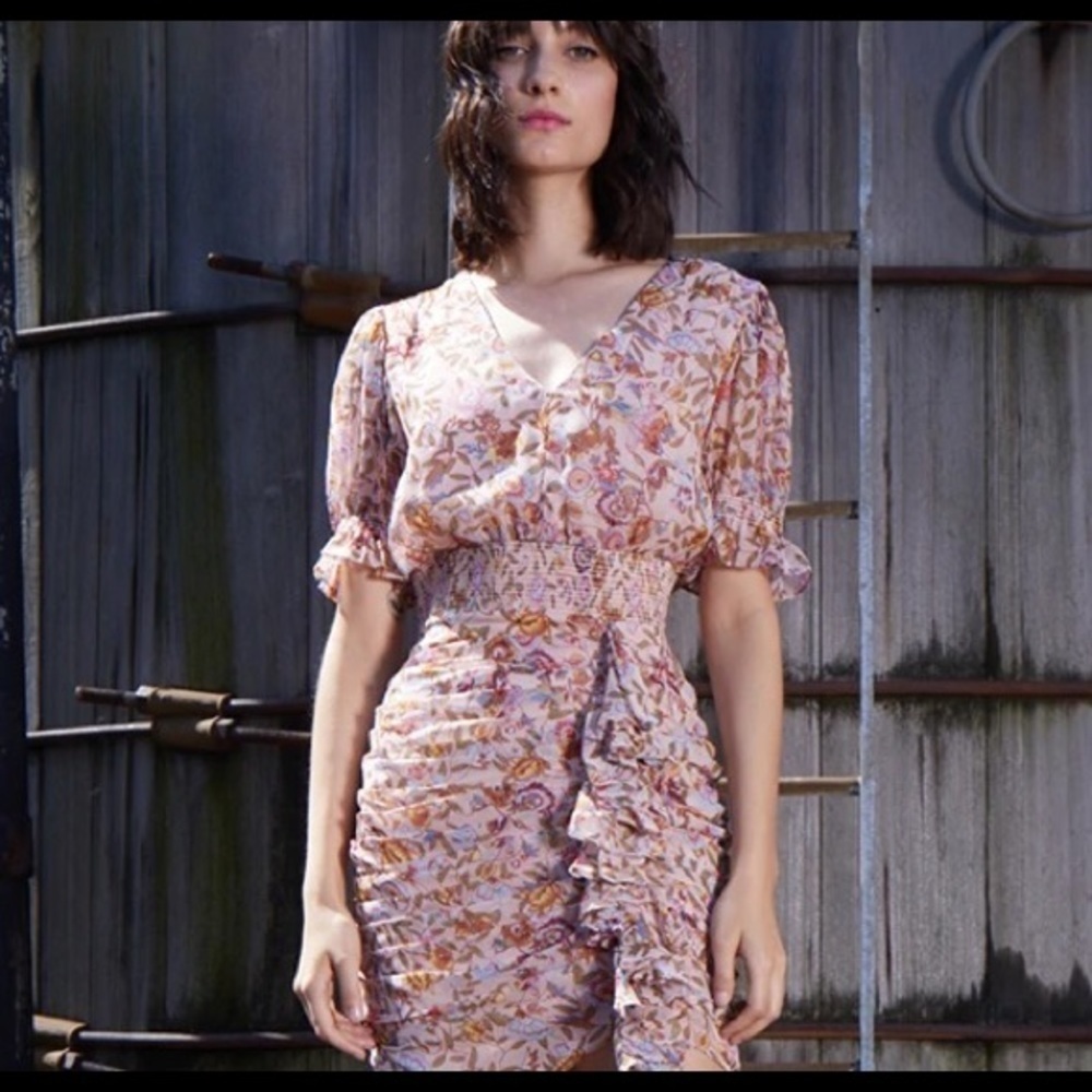NWT Walter Baker Mars dress in pink primrose size 4 - Picture 1 of 16